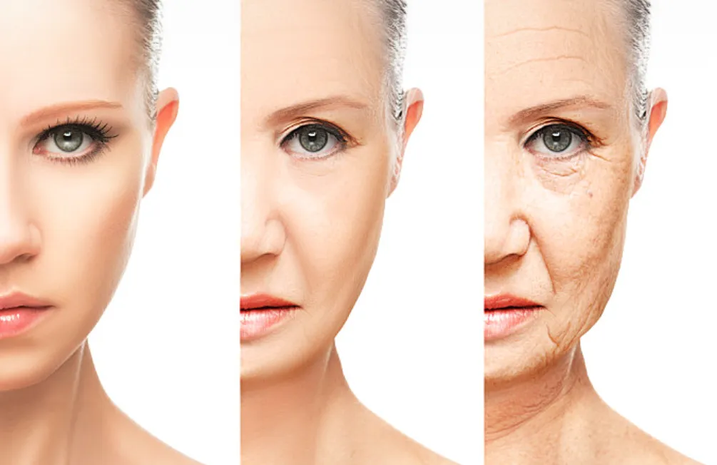 干细胞-未来医学的主流