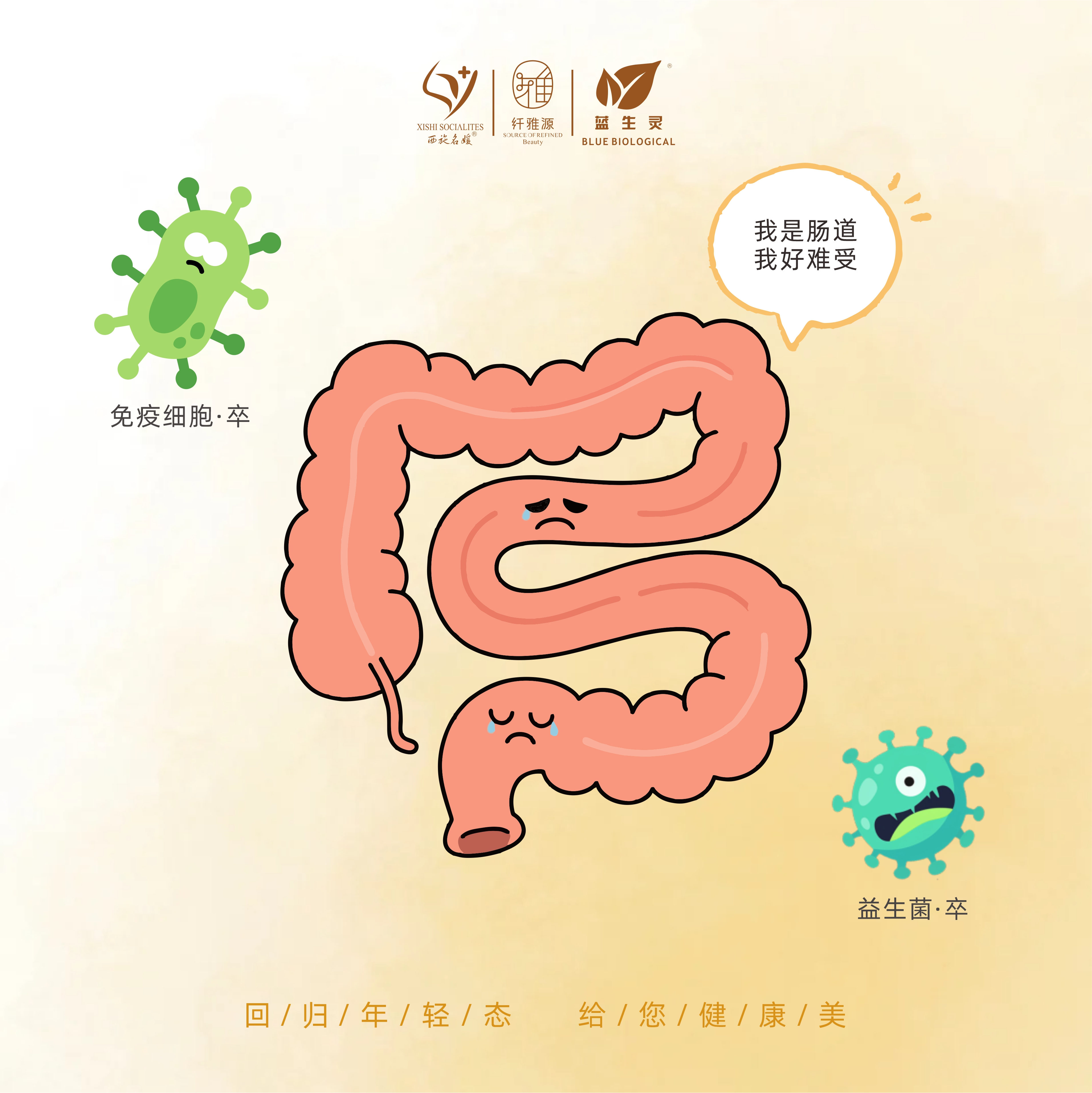 活到九十九|奶茶党如何抢救免疫防线 活到九十九|奶茶党如何抢救免疫防线