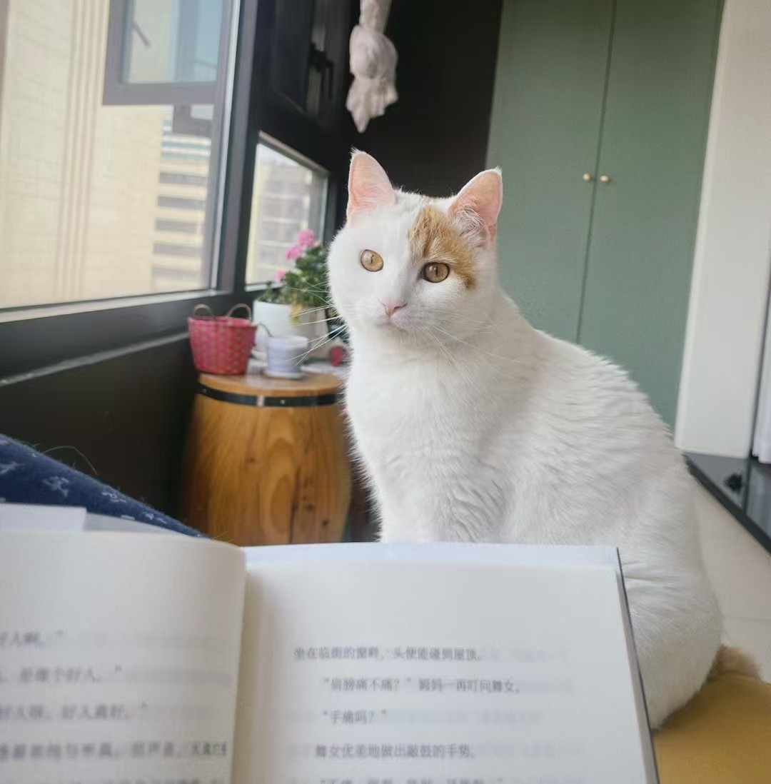 活到九十九｜开工一周还缓不过来？你被狠狠“透支”啦！