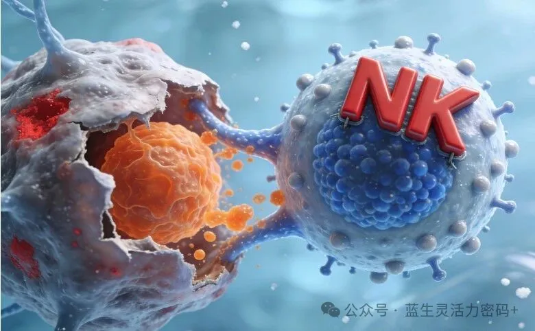 NK细胞免疫疗法：对抗癌症的“隐形卫士军团”，有效防止复发和转移！