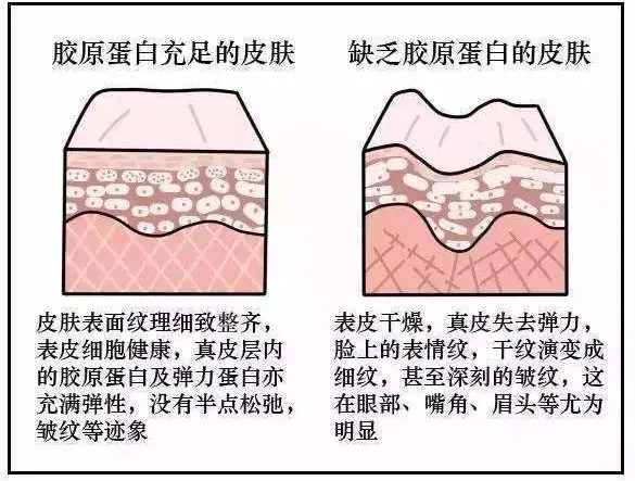 一篇大实话丨读懂年轻五岁，速来围观