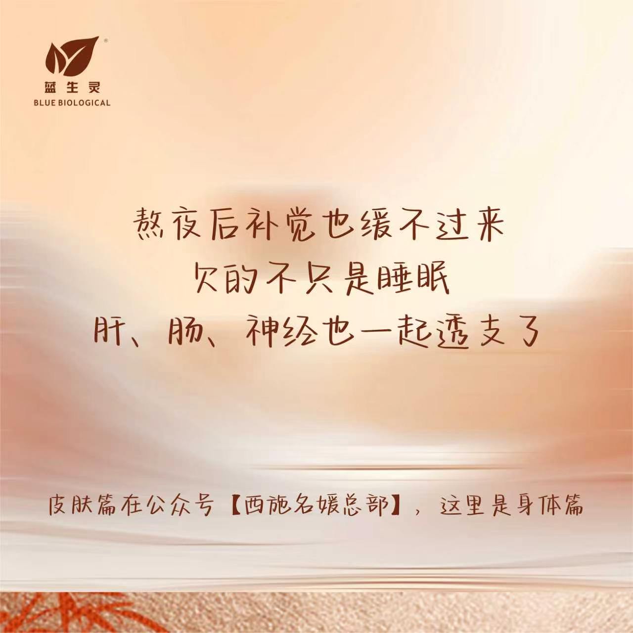 熬夜/睡不好后,如何快速回血——身体篇 熬夜/睡不好后,如何快速回血——身体篇