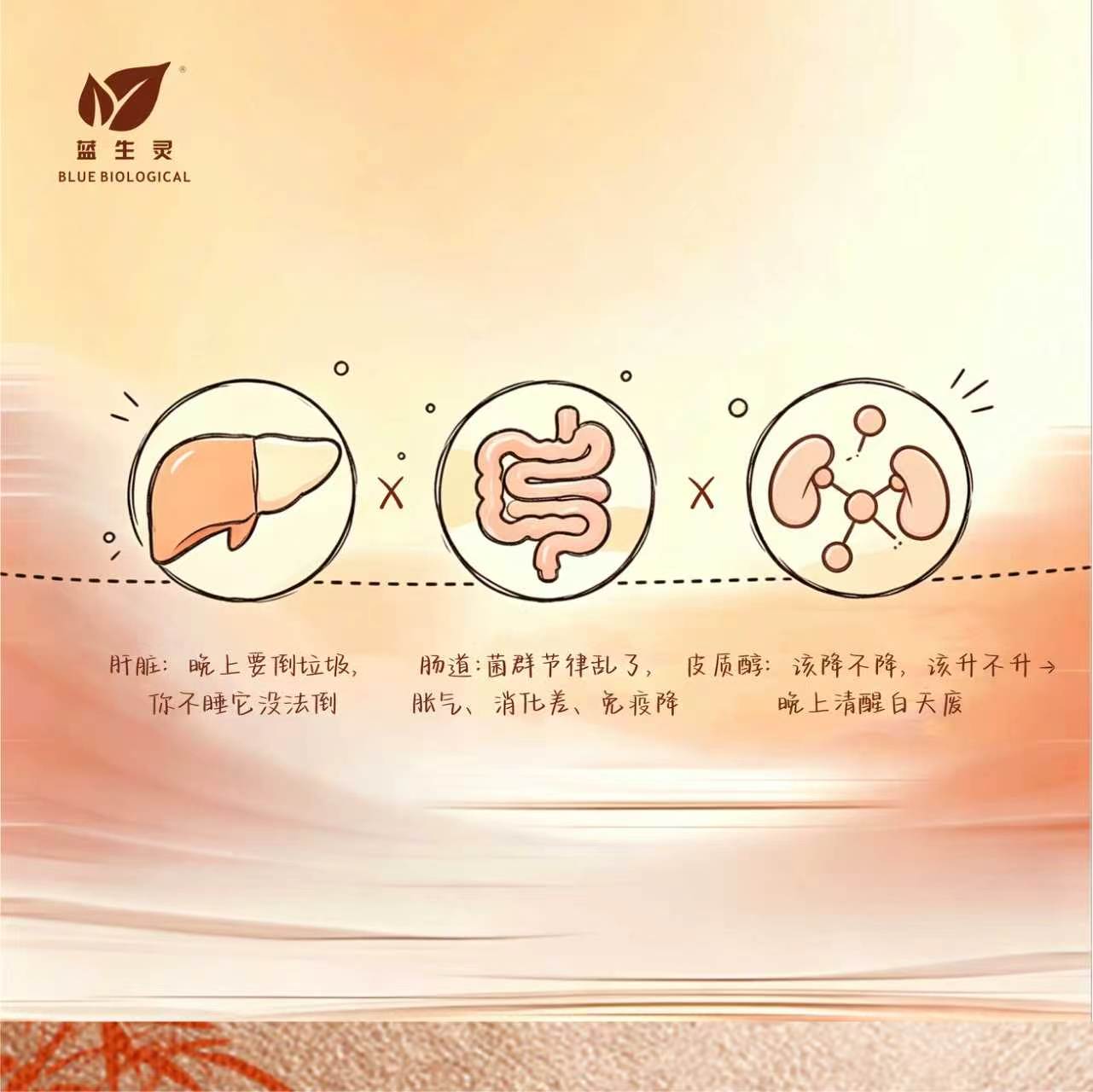 熬夜/睡不好后,如何快速回血——身体篇 熬夜/睡不好后,如何快速回血——身体篇